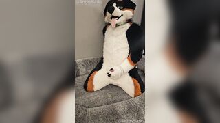 Fertility Check! Fellow Mutt @AngryBarks Jacks his Strong Sack of babymakers and puts his Jizm under a Microscope