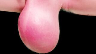 Hermaphroditism Loosening Ample Sack Wag Time Saline Infusion Futa Rubdown Immense Nutsack Ballstretching