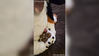 FUMBLE BANGER! @AngryBarks enjoys pounding his soles until he spunks firm Bark Bark!