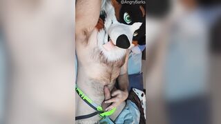 PRAISE KINK! @AngryBarks displays you how to take care of your morning trouser snake.