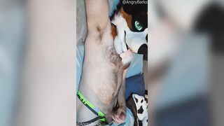 PRAISE KINK! @AngryBarks displays you how to take care of your morning trouser snake.