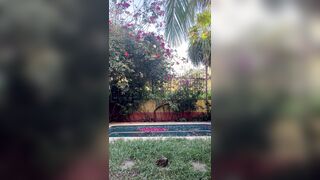 Perspiring, Nude and Rock-Stiff: This Is How We Tidy in the Caribbean