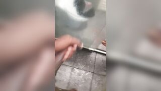 Novinho bate uma no banho