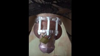 LanaTuls - Ass fucking Tart and Breezy Locked in Purity Cell