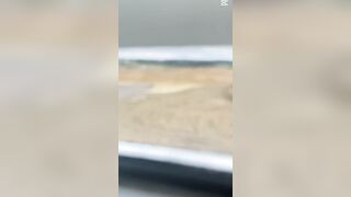 instruct douche have fun