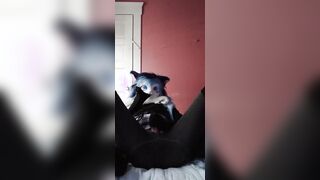 Jizzing and shrieking noisily on the couch