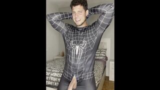 SPIDERMAN HOMO LARGE DINKY