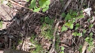 Cruising The Trails Part 1 - Dane Coxx