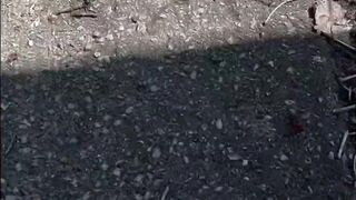 Cruising the Trails Part two - Dane Coxx