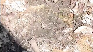 Cruising the Trails Part two - Dane Coxx