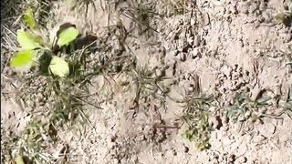 Cruising the Trails Part two - Dane Coxx