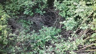 Urinating in Public. Taking a pee on my walk thru the park.