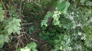 Peeing in Public. Taking a urinate along the ass-pipe.