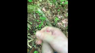 Was so insatiable had to go off the hiking trail. Gigantic popshot on tree