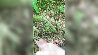 Was so insatiable had to go off the hiking trail. Gigantic popshot on tree