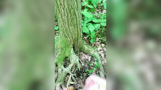 Was so insatiable had to go off the hiking trail. Gigantic popshot on tree