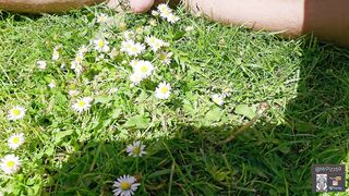 A urinating manstick in daisies