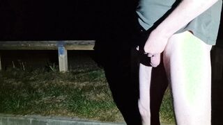 Urinating In Public. Needed A Pee At The Night Stopover.