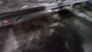 POINT OF VIEW ambling with innocence box