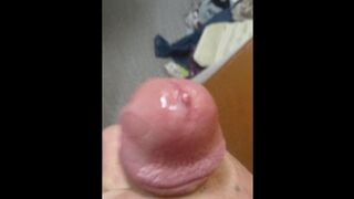 Dinky close up Drooling