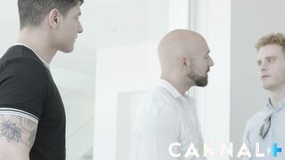 Staghomme - Stellar Mafia Bastian Karim bjs crazy muscular DILF