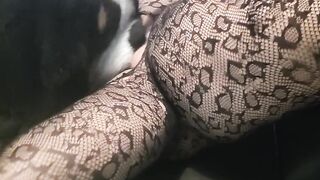 Rammed fucktoy hatch plumb