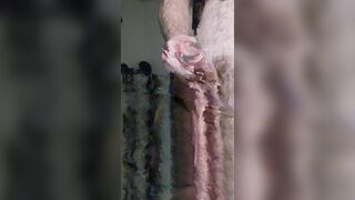 Close up cum-shot. Humungous running in rivulets jizz unload