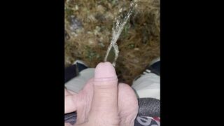 Stoner Dude with Lil Beef whistle Urinating Outdoors [POINT OF VIEW]