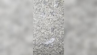 MONEY-SHOT... AND A MOLTEN SLANGING BEEF WHISTLE