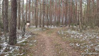 Deviant Exhibitionist: Ambling Thru the Forest in Winter (Petite Pink cigar) - KolowskiBRO