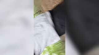 Ambling in forest alone wery insatiable