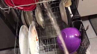 Peeing on my Kithchen Appliances (With Slow Mobility Replay)