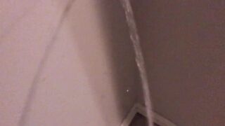 Strength Peeing on my Guest room Walls and Carpet (With Slow Movability Replay)