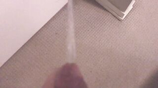 Strength Peeing on my Guest room Walls and Carpet (With Slow Movability Replay)