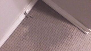 Strength Peeing on my Guest room Walls and Carpet (With Slow Movability Replay)