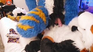 Monstrous mutt trains the tiny kitten how to sit #node #knotfucking