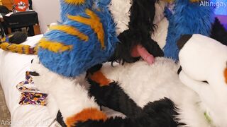 Monstrous mutt trains the tiny kitten how to sit #node #knotfucking