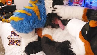 Monstrous mutt trains the tiny kitten how to sit #node #knotfucking