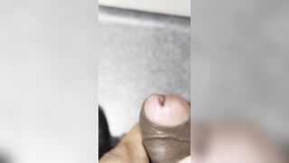 Sri Lankan dark-hued trouser snake close-up fap off