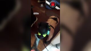 My Obedient pup getting boned part 1