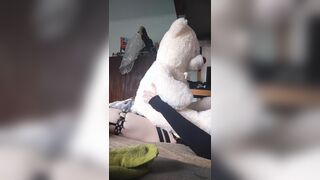 Lovely Femboy despairingly tears up his plushie