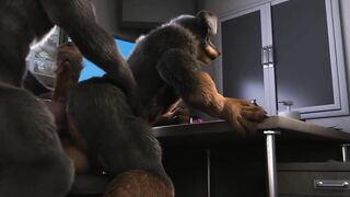 Sebastian et Hans Total HD Par H0rs3