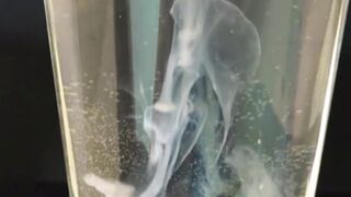 Jizm Fetish: Triple Jism shooting in glass of water Slomo & live audio