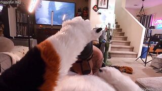 POINT OF VIEW Youre a fursuiter getting a dt from Pup FiggyStarship