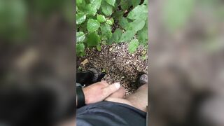 Solo masculine outdoor public urinating compilation