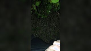 Solo masculine outdoor public urinating compilation