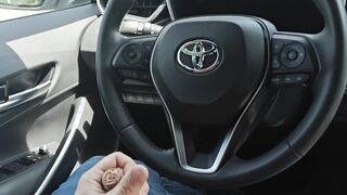 Crazy boy romping sandwich in van and tongues it