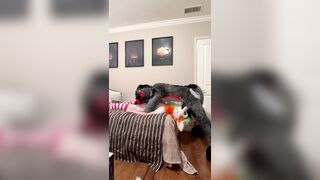 POINT OF VIEW Fursuit Facial cumshot Popshot Compilation Phat Manhood