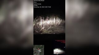 City squirt undress & flash off in the rain