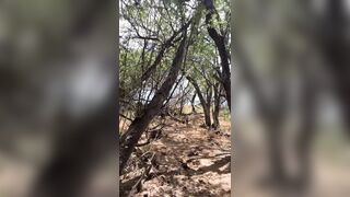 Suspended BIG BLACK COCK Jock Cruising The Pecker Trails Bare With Rock hard Meatpipe Expecting To Get Caught In Public!